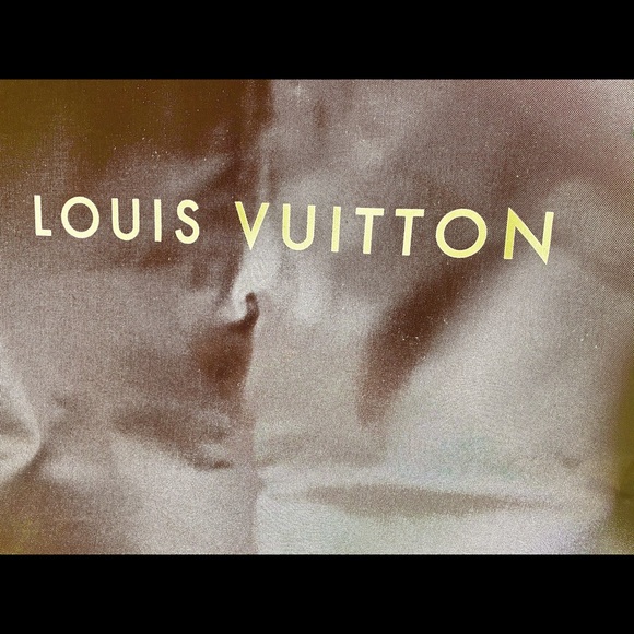 Luis Vuitton travel carry protective cover - Picture 3 of 6